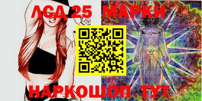 мдпв Новозыбков