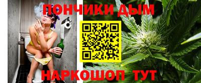 шишки Обь