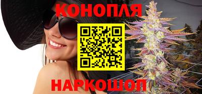 шишки Обь