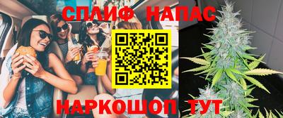 мдпв Новозыбков
