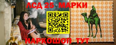 мдпв Новозыбков