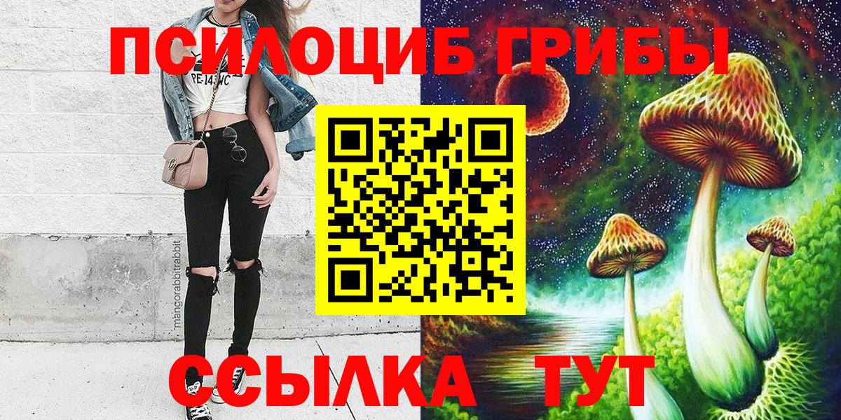 Псилоцибиновые грибы MAGIC MUSHROOMS  Вход с VPN  Тверь 